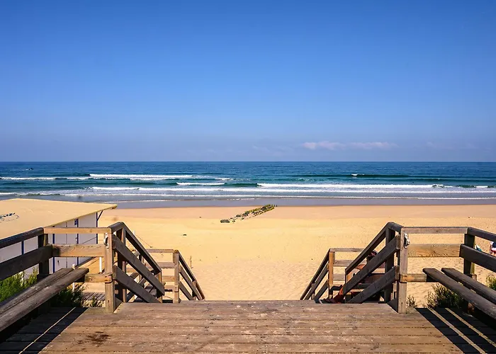 Maison 6 Pers. A Mimizan, Bord De Courant, Foret Et Ocean, 3 Etoiles, Confort, Menage Inclus - Fr-1-50-80